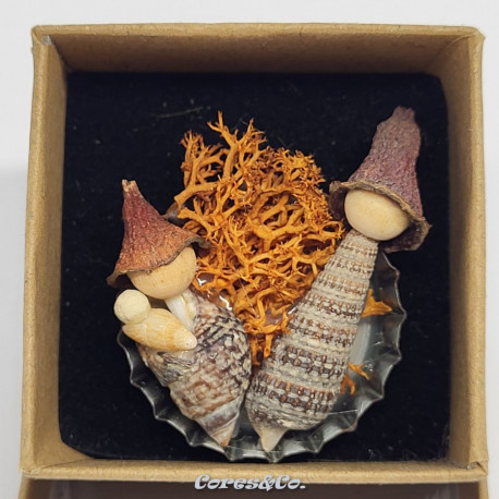 Whelks on Bottle Cap Miniature Nativity Set 2024/2