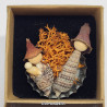 Whelks on Bottle Cap Miniature Nativity Set