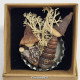 Whelks on Bottle Cap Miniature Nativity Set 2024/3