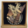 Whelks on Bottle Cap Miniature Nativity Set