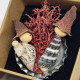 Whelks on Bottle Cap Miniature Nativity Set 2024/4