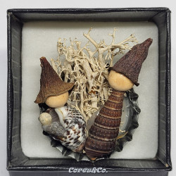 Whelks on Bottle Cap Miniature Nativity Set 2024/5