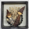 Whelks on Bottle Cap Miniature Nativity Set