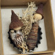 Whelks on Bottle Cap Miniature Nativity Set 2024/7