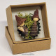 Whelks on Bottle Cap Miniature Nativity Set 2024/8