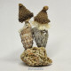 Sea Miniature Nativity Set 2024/4