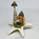 Starfish Miniature Nativity Set 2024/1