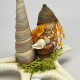 Starfish Miniature Nativity Set 2024/1