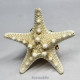 Starfish Miniature Nativity Set 2024/1