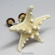 Starfish Miniature Nativity Set 2024/1