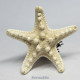 Starfish Miniature Nativity Set 2024/2