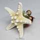 Starfish Miniature Nativity Set 2024/3