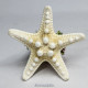 Starfish Miniature Nativity Set 2024/3